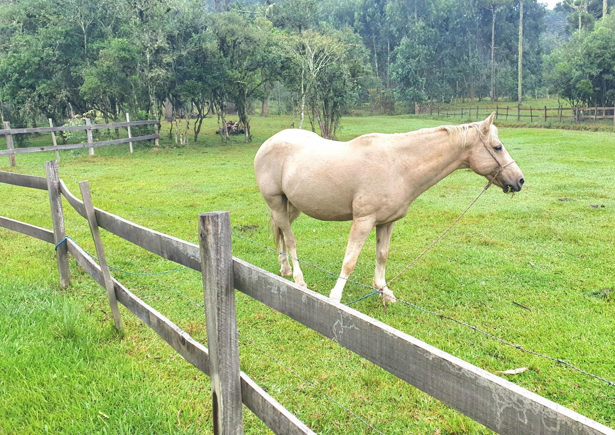 Pousada Vale Da Imbuia Chale Para Temporada Urubici Exterior foto